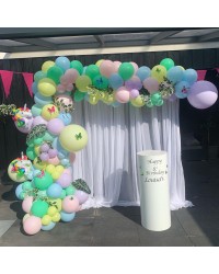 Organic Balloon Arch with Curtain